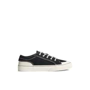 Sperry Astor Sneaker Sneakers Damen Schwarz | 58KJBRPVS