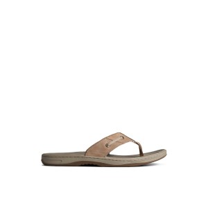 Sperry Baitfish Leather Flip Flop Sandalen Herren Beige | 17LSHRIJF