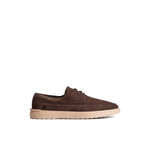 Sperry Cabo II Oxford Oxford Schuhe Herren Braun | 27CIGFNDK