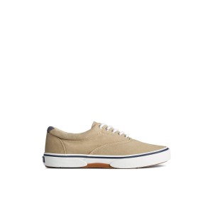 Sperry Halyard CVO Salt Washed Sneaker Sneakers Herren Khaki | 45VLEBTNA