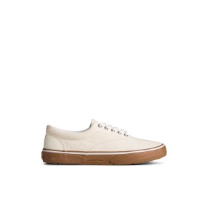 Sperry Halyardcvoch_mm Sneakers Herren Weiß | 15OXJMSGB