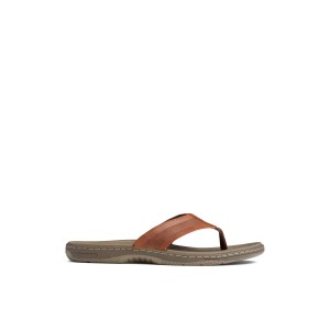 Sperry Havasu Perf Flip Flop Sandalen Herren Braun | 64AJRDGXI