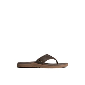 Sperry Santa Cruz II Thong Sandal Sandalen Herren Braun | 31QTYSZLM