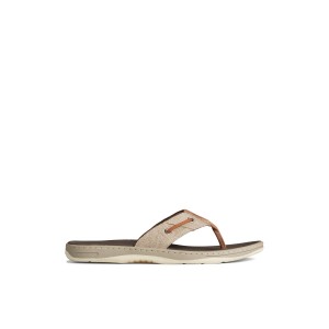 Sperry SeaCycled Baitfish Baja Flip Flop Sandalen Herren Beige | 16HQTXAFW