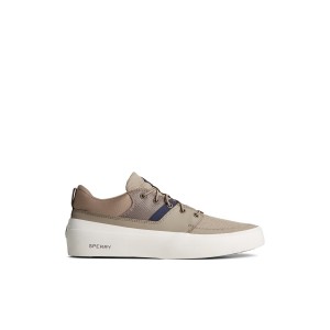 Sperry SeaCycled Fairlead Sneaker Sneakers Herren Beige | 91ZDOFAXN