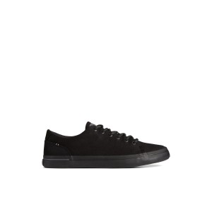 Sperry SeaCycled Striper II Textile Sneaker Sneakers Herren Schwarz | 80USLMJIO