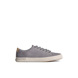 Sperry SeaCycled Striper II Textile Sneaker Sneakers Herren Grau | 86PKRNVYB