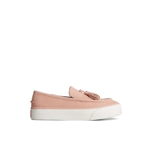 Sperry Sea Sailor Platform Sneaker Sneakers Damen Rosa | 37GHRKPEF