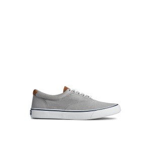 Sperry Striper II CVO Sneaker Sneakers Herren Grau | 96ZSVUXMI