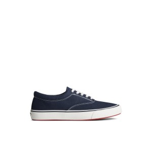 Sperry Striper II Canvas CVO Sneaker Sneakers Herren Navy | 09PLKVNYH