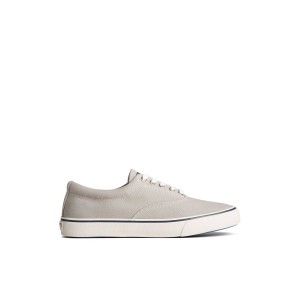 Sperry Striper II Canvas CVO Sneaker Sneakers Herren Grau | 83YBDHROV