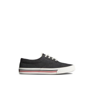 Sperry Striper II Linen CVO Sneaker Sneakers Herren Schwarz | 30FMRBAIU