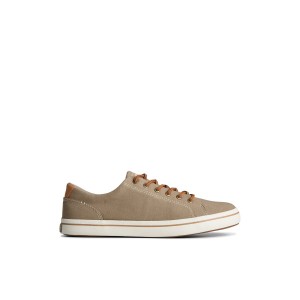 Sperry Striper II Linen LTT Sneaker Sneakers Herren Beige | 92WJQNAYU