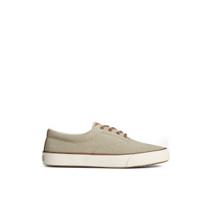 Sperry Striper II Washed Canvas CVO Sneaker Sneakers Herren Beige | 91IRZHFGL