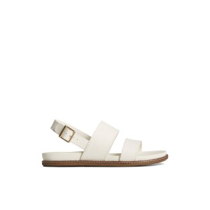 Sperry Waveside PLUSHWAVE Backstrap Sandal Sandalen Damen Beige | 60GJECWIO