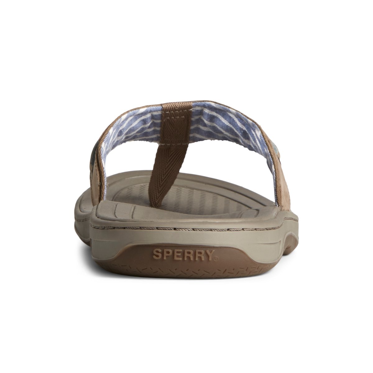 Sperry Baitfish Leather Flip Flop Sandalen Herren Beige | 17LSHRIJF