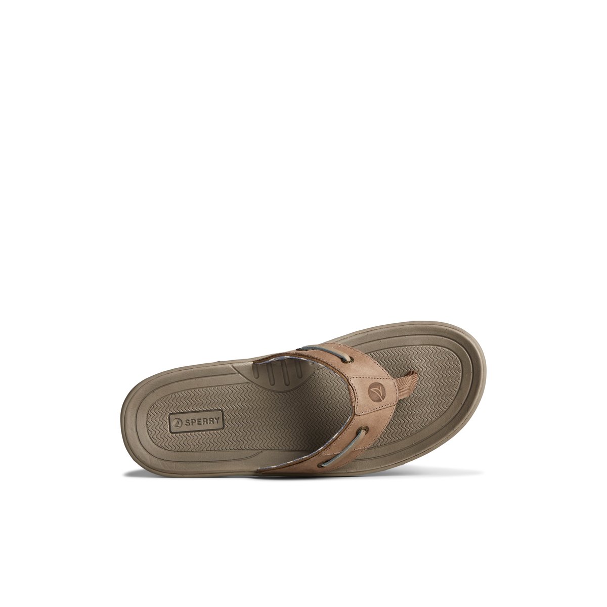 Sperry Baitfish Leather Flip Flop Sandalen Herren Beige | 17LSHRIJF