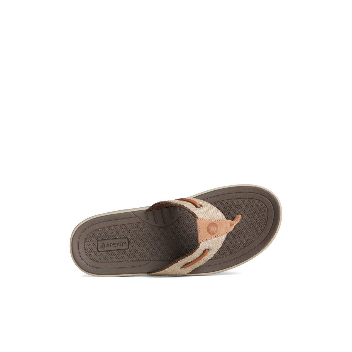 Sperry SeaCycled Baitfish Baja Flip Flop Sandalen Herren Beige | 16HQTXAFW